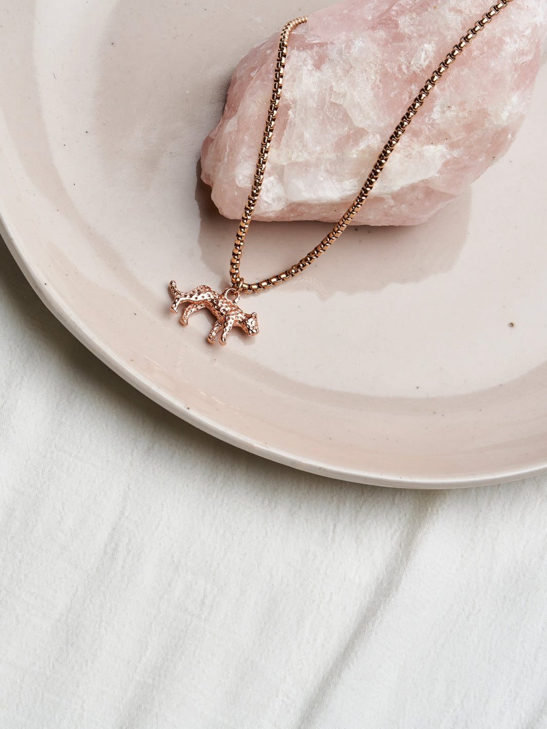 Jaguar | Brillenkoord